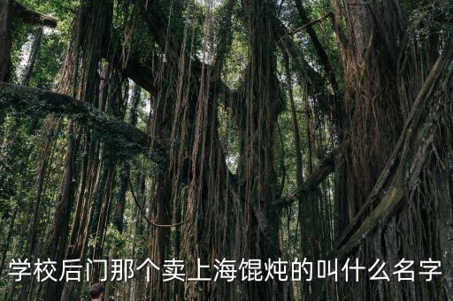 上海市仟里香餛燉莘松路店，學校后門那個賣上海餛燉的叫什么名字