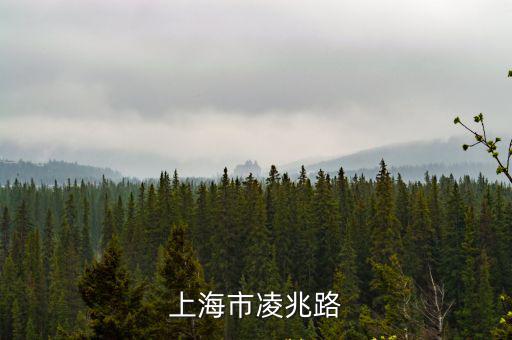 上海市凌兆路