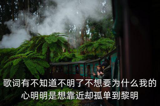 歌詞有不知道不明了不想要為什么我的心明明是想靠近卻孤單到黎明