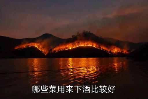 哪些菜用來下酒比較好
