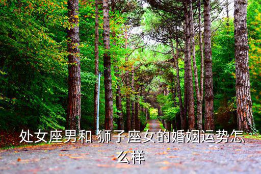  處女座男和 獅子座女的婚姻運勢怎么樣