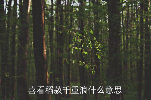 喜看稻菽千重浪什么意思