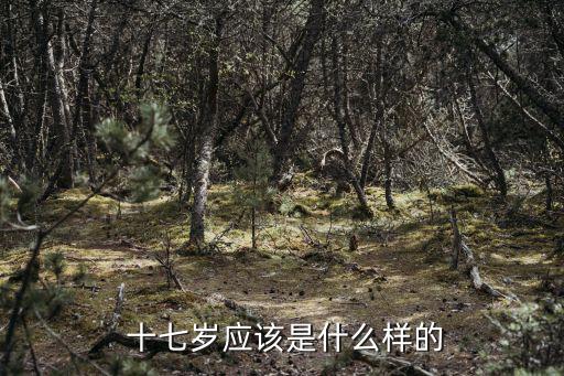  十七歲應該是什么樣的