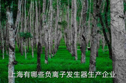 上海有哪些負(fù)離子發(fā)生器生產(chǎn)企業(yè)
