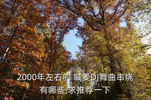 dj現(xiàn)場喊麥,dj-串燒-鳳舞九天現(xiàn)場64分鐘不需要mix