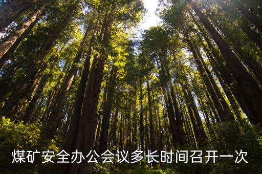 煤礦安全辦公會議多長時間召開一次