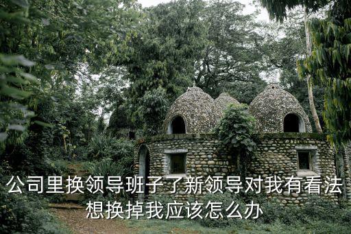 公司里換領導班子了新領導對我有看法想換掉我應該怎么辦