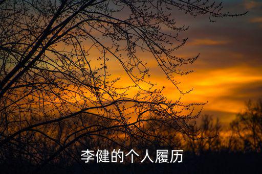 李健個人資料及簡歷,李健年度人物回顧