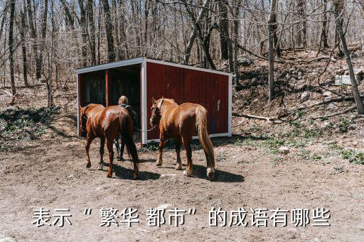 表示“ 繁華 都市”的成語有哪些
