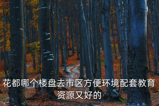 花都哪個樓盤去市區方便環境配套教育資源又好的