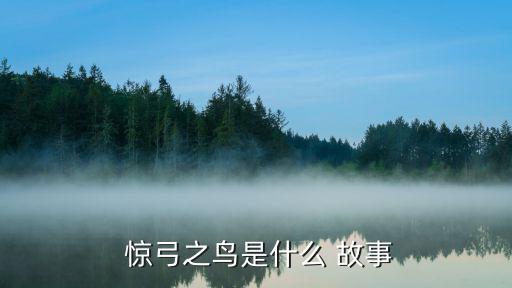 驚弓之鳥的故事,被弓箭驚嚇的鳥不易安身!成語:驚弓之鳥