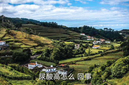  尿酸高怎么 回事