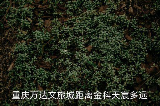 重慶萬達文旅城距離金科天宸多遠