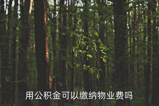 上海市公積金可以交物業費嗎，我想問下物業費可以用公積金繳納嗎