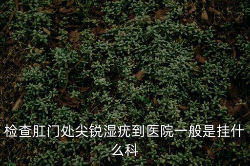 檢查肛門處尖銳濕疣到醫院一般是掛什么科