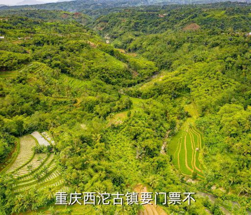 重慶市西流沱古鎮，重慶西沱古鎮要門票不