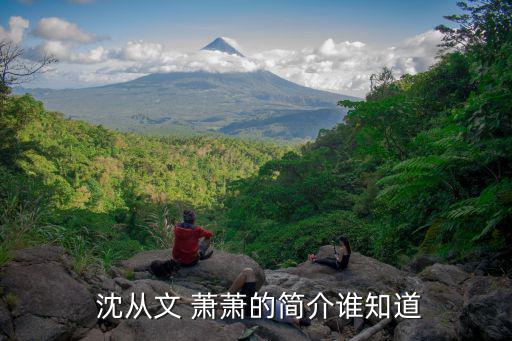  沈從文 蕭蕭的簡介誰知道