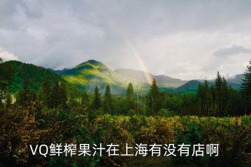 VQ鮮榨果汁在上海有沒有店啊