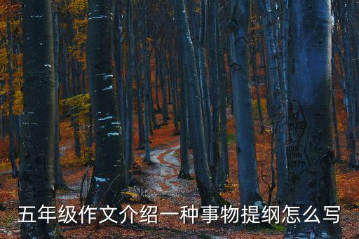 介紹一種事物五年級(jí)作文，五年級(jí)作文介紹一種物品