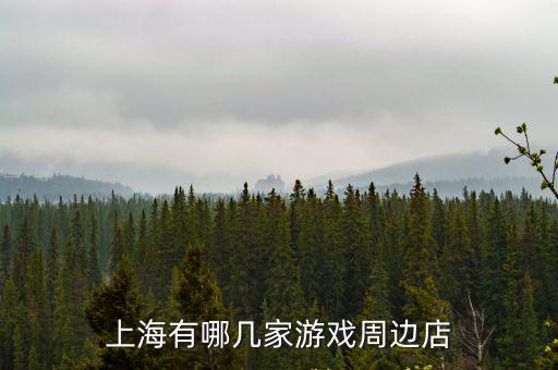 上海市周邊游戲公司，上海有哪幾家游戲周邊店