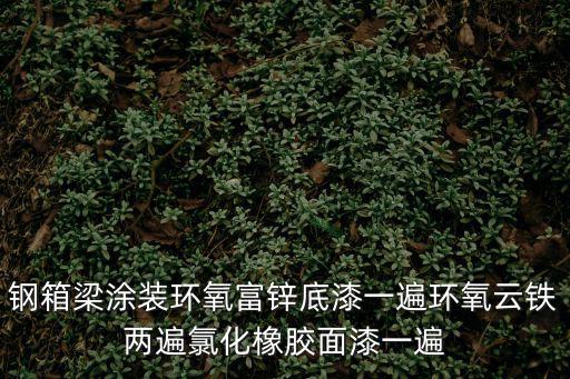 鋼箱梁涂裝環(huán)氧富鋅底漆一遍環(huán)氧云鐵兩遍氯化橡膠面漆一遍
