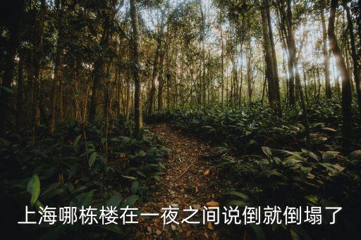 上海哪棟樓在一夜之間說倒就倒塌了