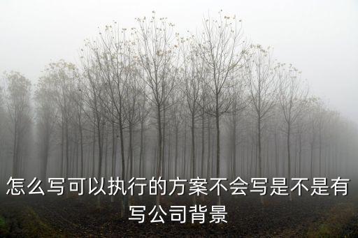怎么寫可以執(zhí)行的方案不會寫是不是有寫公司背景