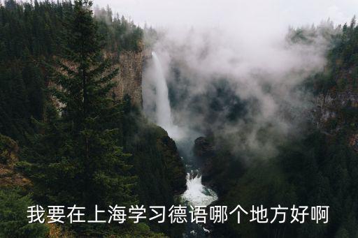 我要在上海學習德語哪個地方好啊