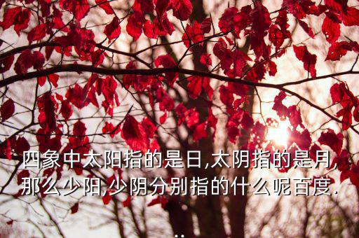陽少,陽陽陰陽互補組成八卦北京四象
