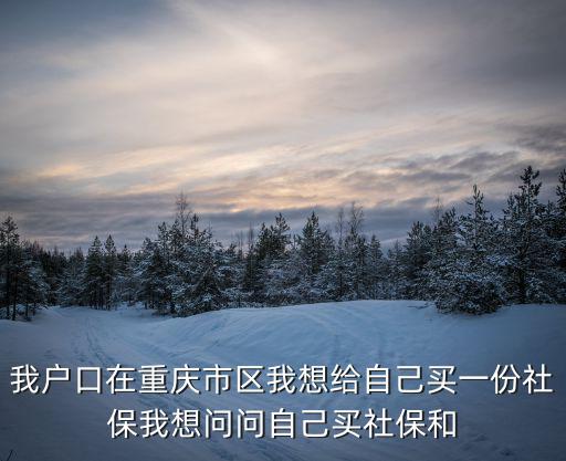 我戶口在重慶市區我想給自己買一份社保我想問問自己買社保和