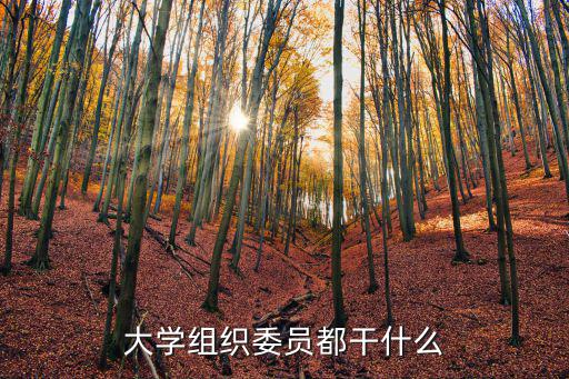 大學組織委員，大學組織委員干什么的
