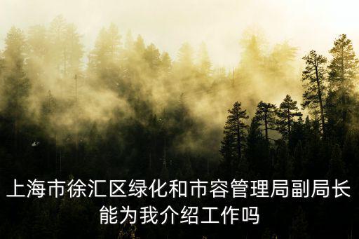 上海市徐匯區(qū)綠化和市容管理局副局長能為我介紹工作嗎