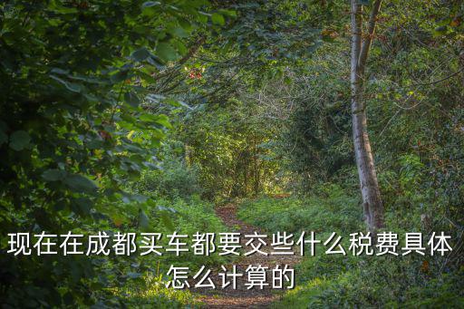 現(xiàn)在在成都買車都要交些什么稅費(fèi)具體怎么計(jì)算的