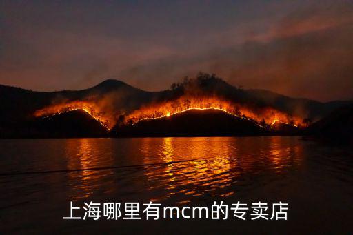 上海哪里有mcm的專賣店