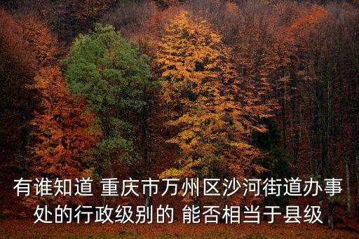 有誰知道 重慶市萬州區沙河街道辦事處的行政級別的 能否相當于縣級