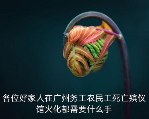 各位好家人在廣州務工農民工死亡殯儀館火化都需要什么手