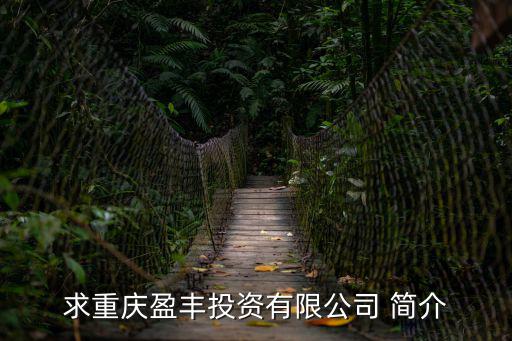 重慶市高新區投資公司，重慶高投司的待遇如何怎么能進去
