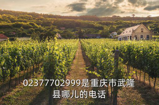 02377702999是重慶市武隆縣哪兒的電話