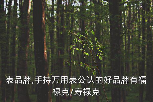萬用表品牌,手持萬用表公認的好品牌有福祿克/壽祿克