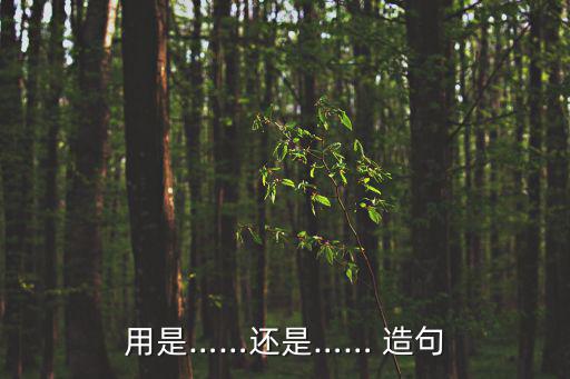 用是……還是…… 造句