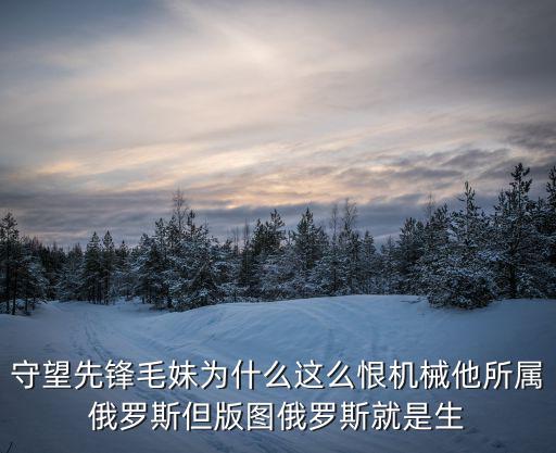 守望先鋒毛妹為什么這么恨機械他所屬俄羅斯但版圖俄羅斯就是生