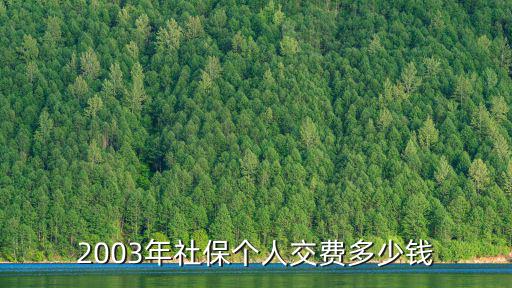 2003年社保個人交費多少錢