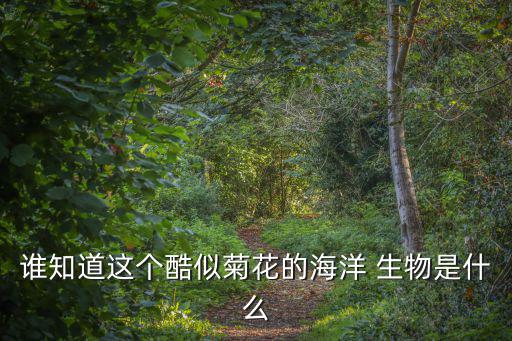 海底生物圖片,鯨魚尸體沉入海底形成獨特海洋生態系統