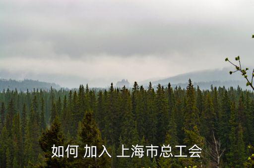上海市專員辦工會，如何 加入 上海市總工會