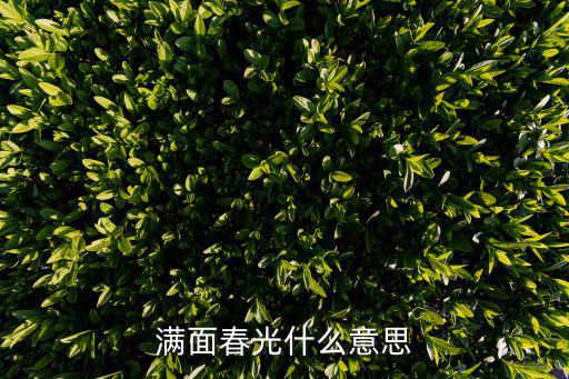 滿面春光，春光滿面的意思