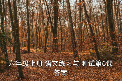 語文練習與測試,第二集:蝙蝠試探喉嚨發出靈巧飛翔聲