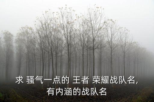 王者榮耀騷氣名字,小女人是女漢子不怕被狗傷心