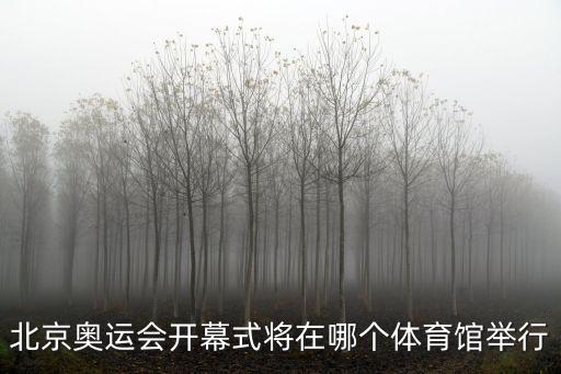 北京奧運會開幕式將在哪個體育館舉行