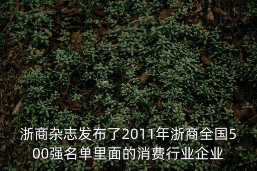 浙商雜志發布了2011年浙商全國500強名單里面的消費行業企業