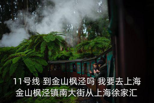 上海市金山區(qū)楓涇鎮(zhèn)南大街，楓涇鎮(zhèn)在哪個(gè)區(qū)啊